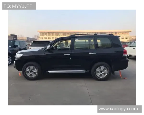 杭州乒乓球队以51分稳居洲际杯积分榜首位展现强劲实力