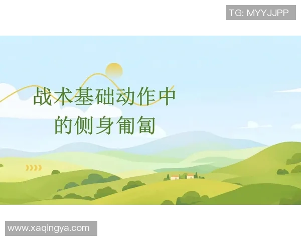 武汉极限运动队中路突破战术解析与实战应用探讨